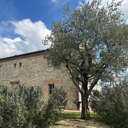 Bed and Breakfast Borgo Cardaneto Montone  Zewnętrze zdjęcie