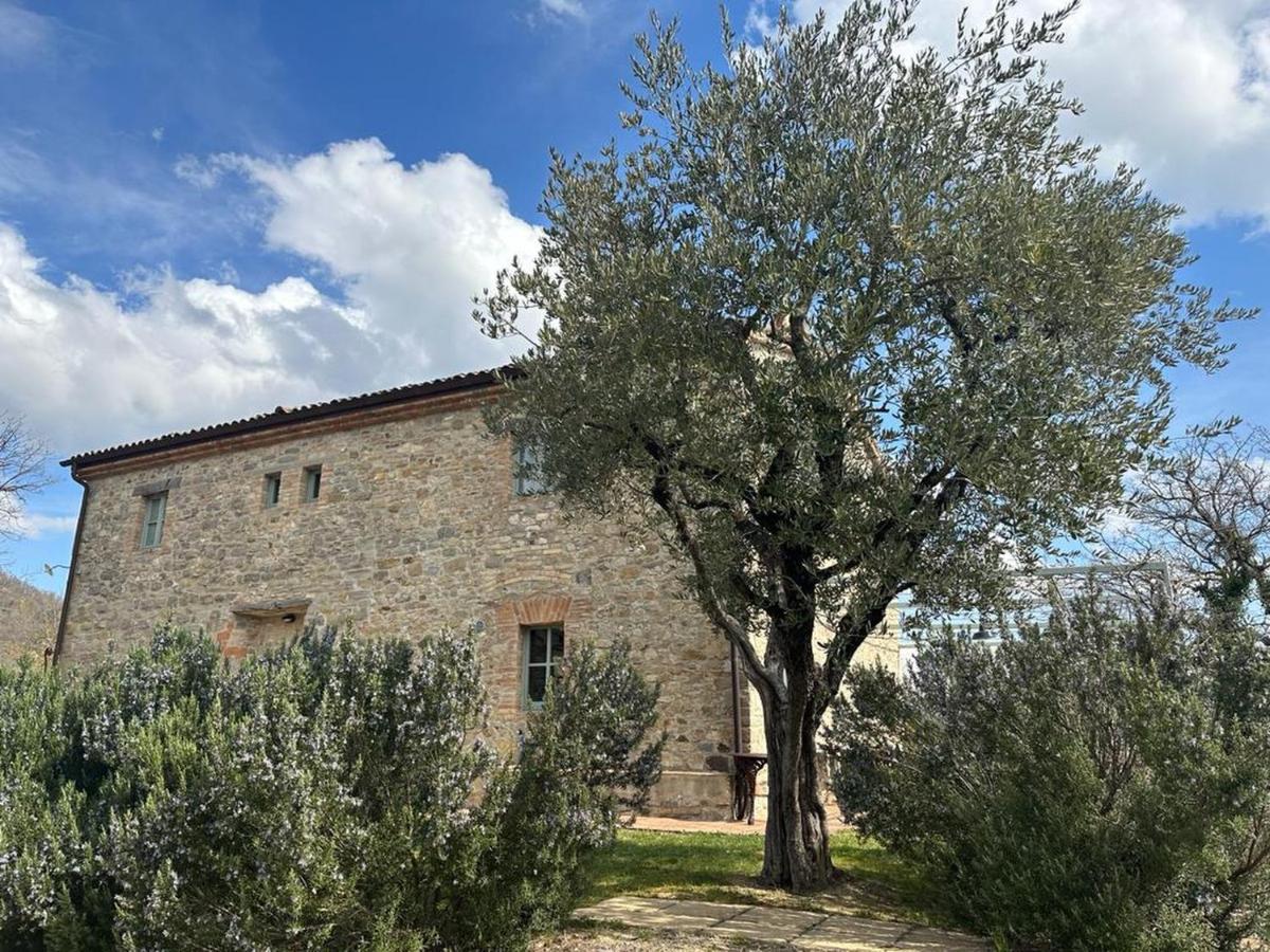 Bed and Breakfast Borgo Cardaneto Montone  Zewnętrze zdjęcie