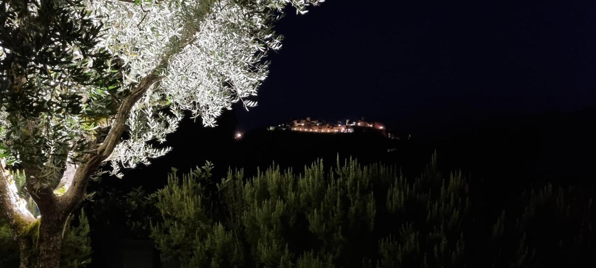 Bed and Breakfast Borgo Cardaneto Montone  Zewnętrze zdjęcie