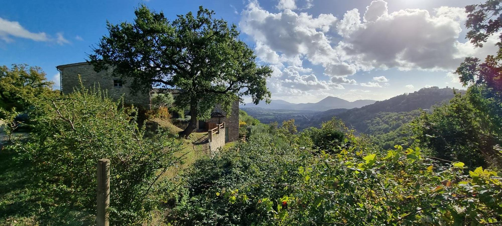 Bed and Breakfast Borgo Cardaneto Montone  Zewnętrze zdjęcie