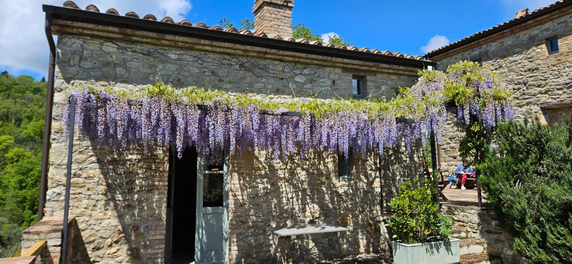 Bed and Breakfast Borgo Cardaneto Montone  Zewnętrze zdjęcie