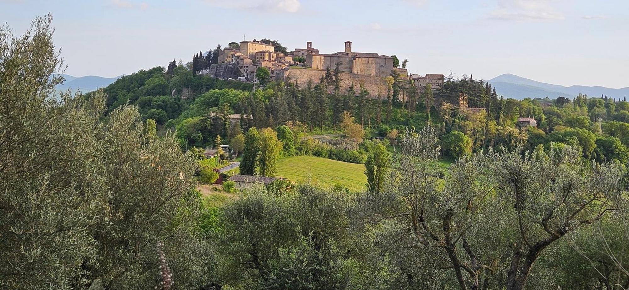Bed and Breakfast Borgo Cardaneto Montone  Zewnętrze zdjęcie